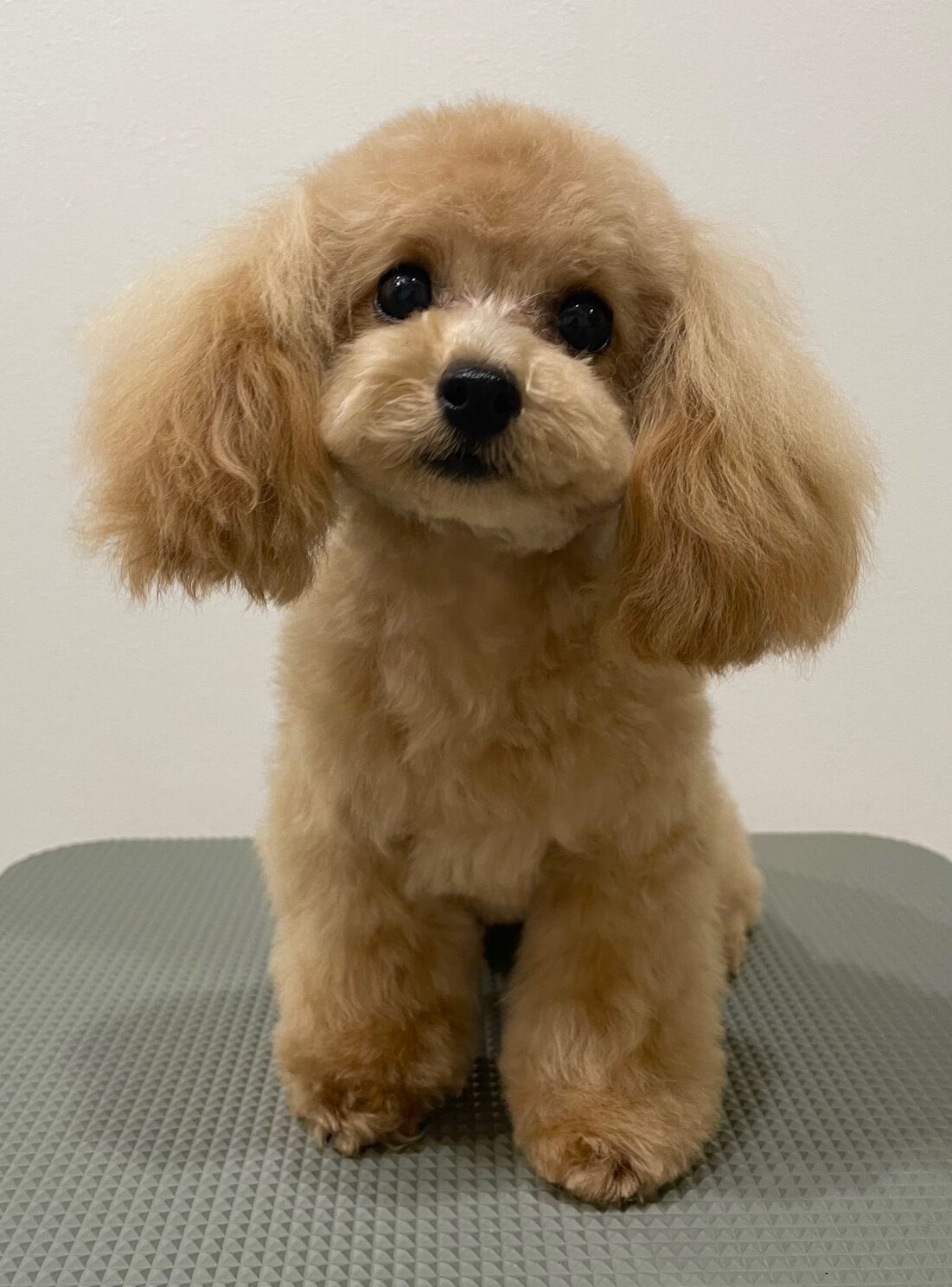 2025-8-27-%e9%88%b4%e6%9c%a8%e3%81%95%e3%81%8f%e3%82%89