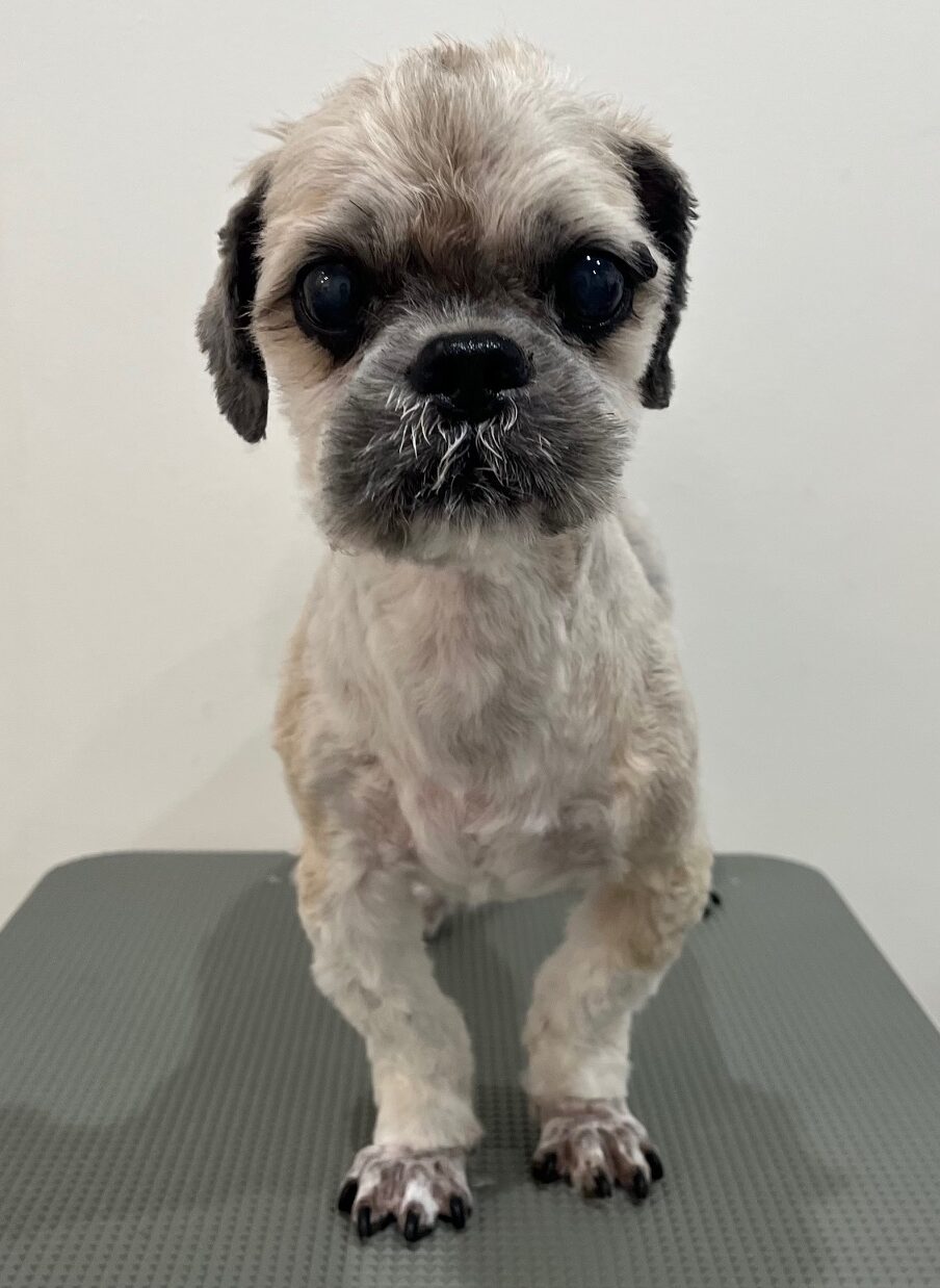 2025-8-29-%e7%9c%9e%e5%a3%81%e3%82%af%e3%83%83%e3%82%ad%e3%83%bc