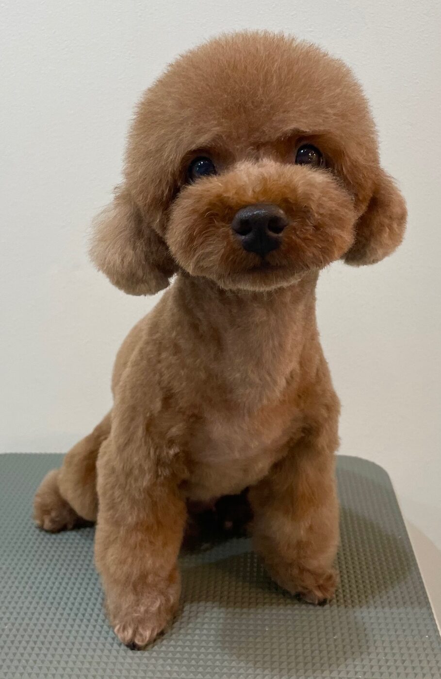 2025-8-29-%e8%97%a4%e7%94%b0%e3%82%af%e3%83%ac%e3%82%a2