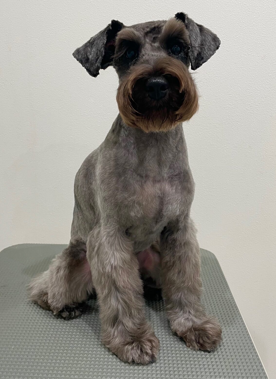 2025-8-29-%e8%97%a4%e7%94%b0%e3%82%af%e3%83%ad%e3%82%a8