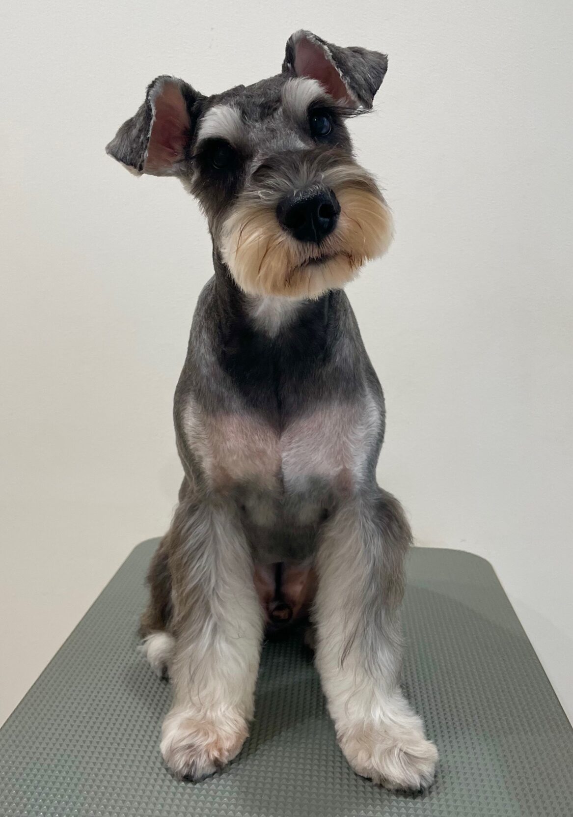 2025-8-29-%e8%97%a4%e7%94%b0%e3%83%86%e3%82%a3%e3%83%b3%e3%83%90