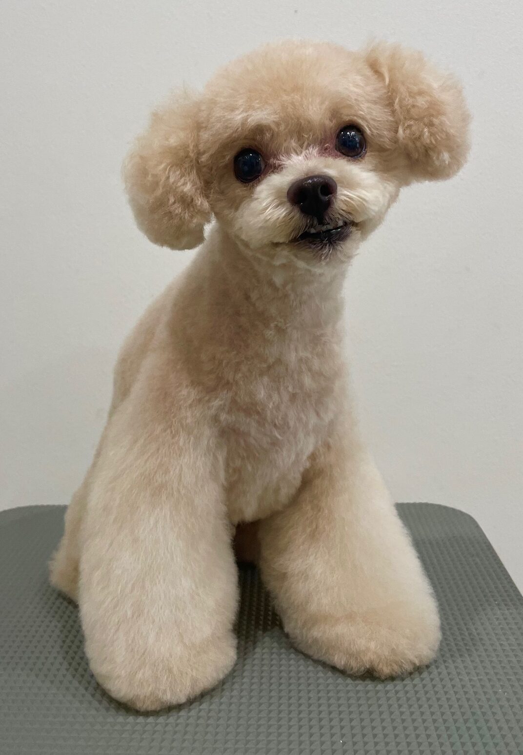 2025-8-31-%e6%a9%8b%e5%b1%b1%e3%82%b3%e3%83%ad%e3%83%b3