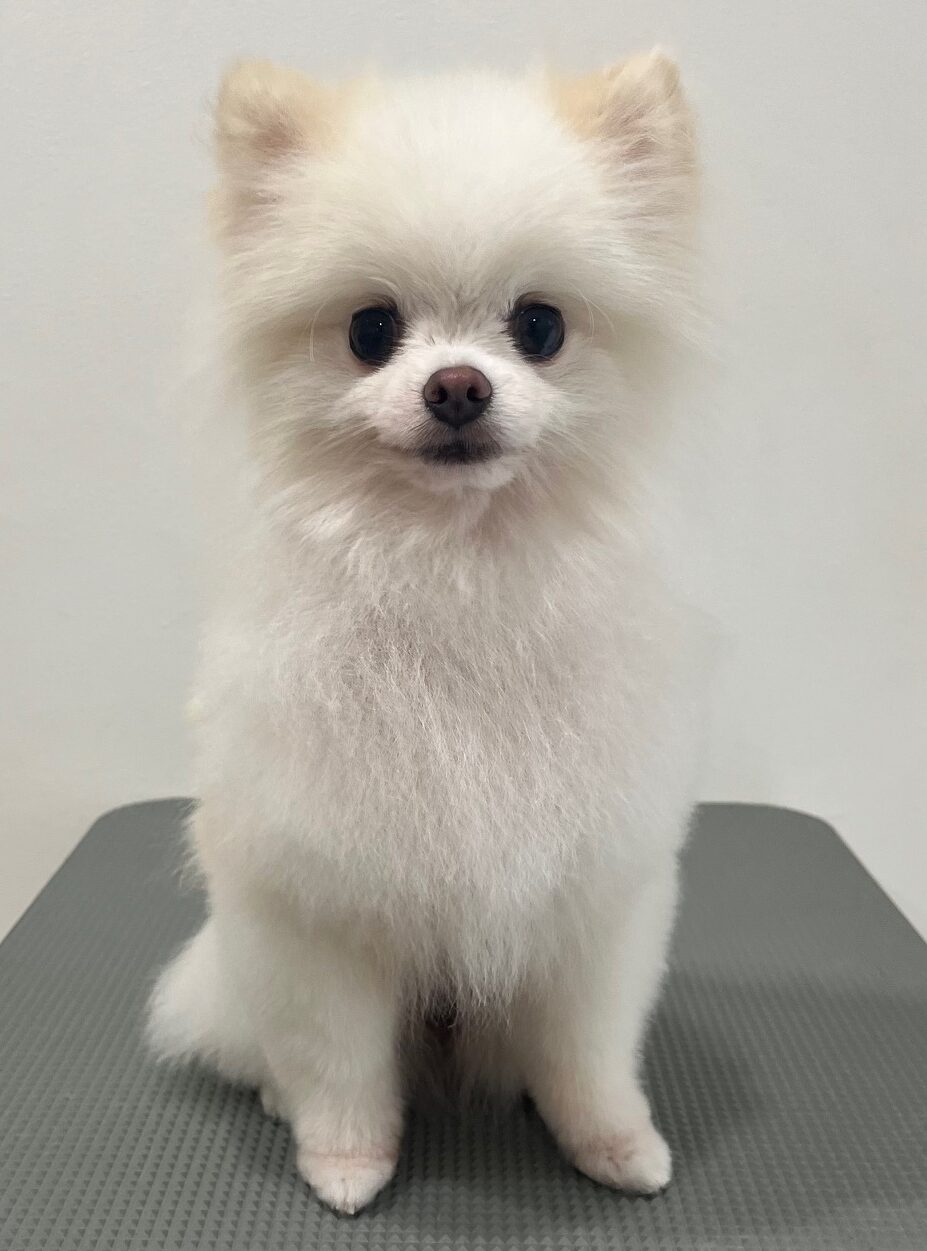 2025-8-31-%e6%a9%8b%e6%9c%ac%e7%be%bd%e7%a9%ba