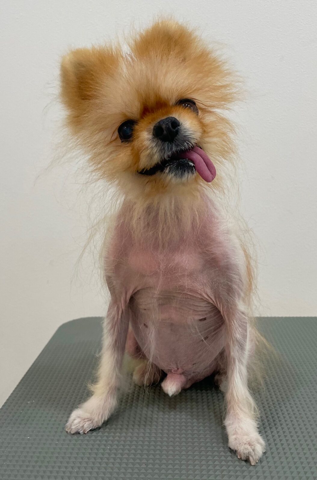 2025-8-31-%e8%97%a4%e7%94%b0%e3%82%a4%e3%83%96