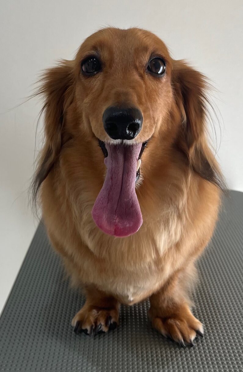 2025-10-17-%e5%b0%8f%e6%9e%97%e3%83%ad%e3%83%b3