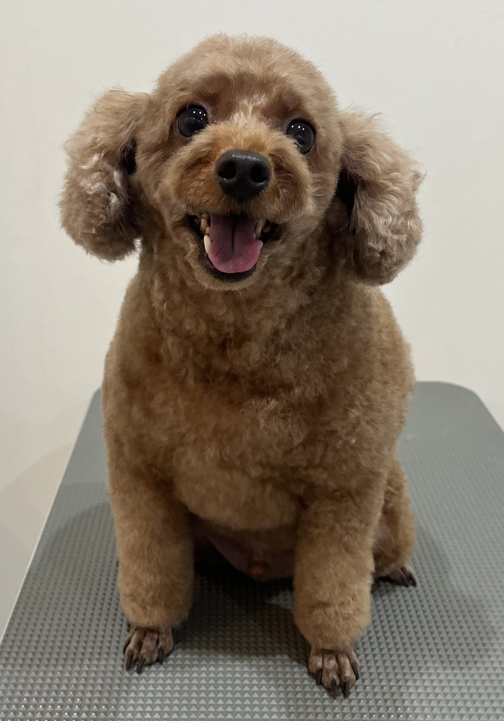 2025-10-1-%e5%b0%8f%e9%87%8e%e3%81%8f%e3%81%85