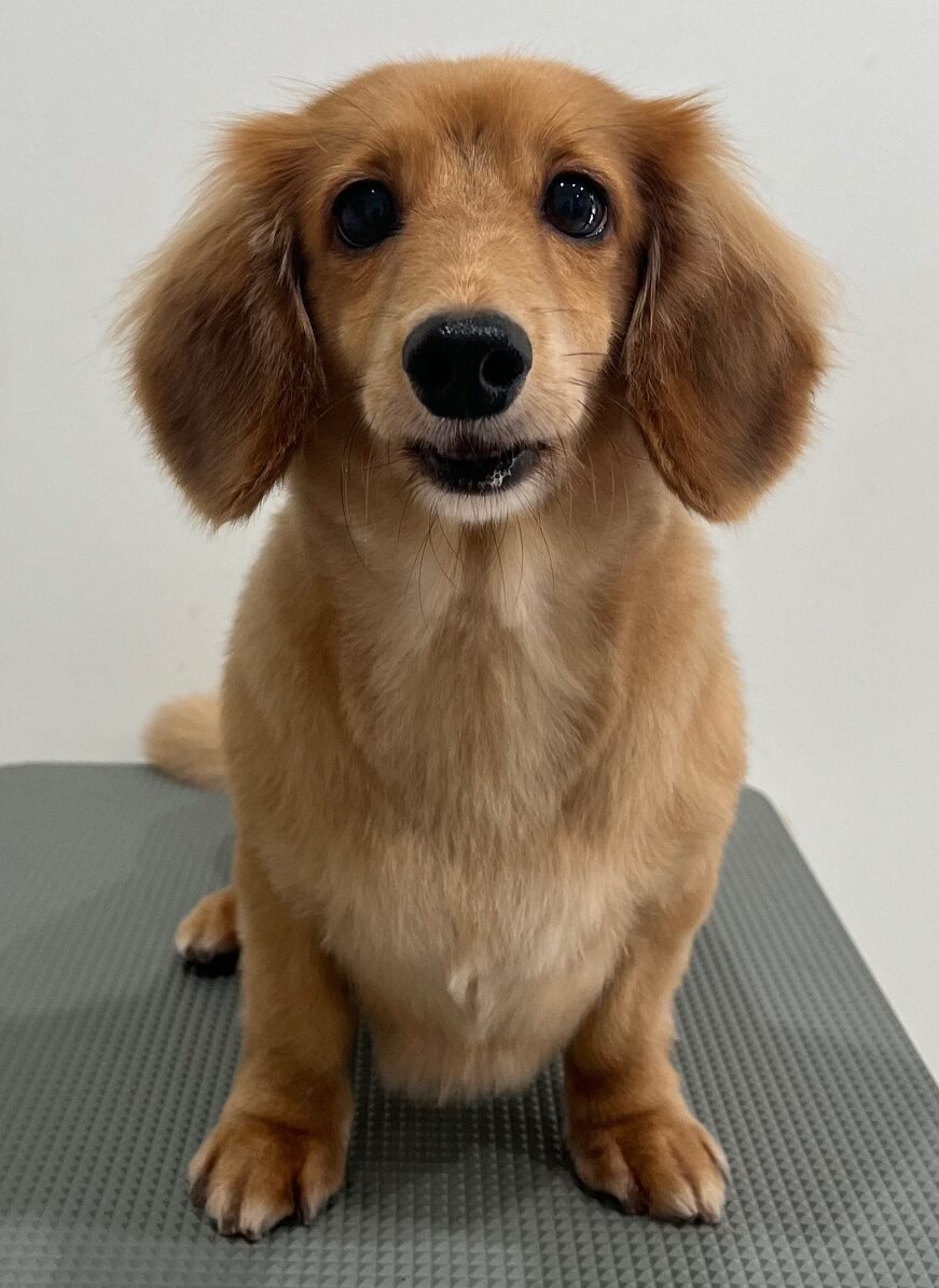 2025-10-10-%e5%a4%a7%e6%b4%a5%e3%83%9a%e3%83%ad