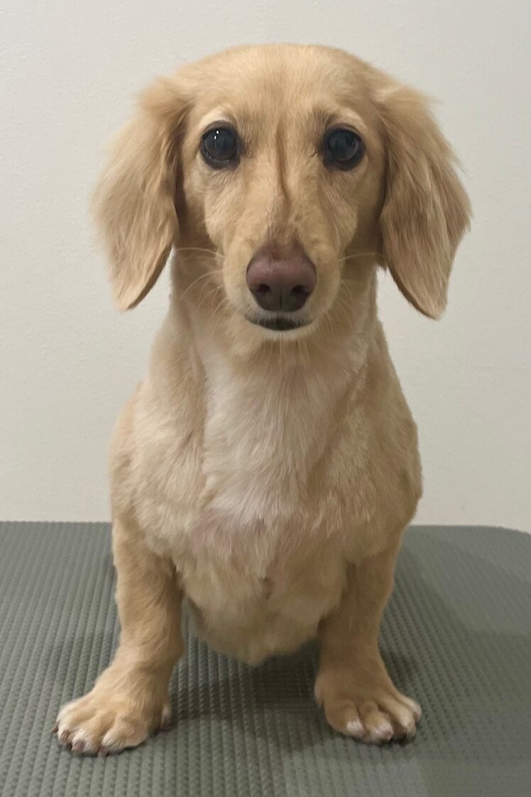 2025-10-10-%e6%ad%a6%e5%b8%82%e5%87%9b