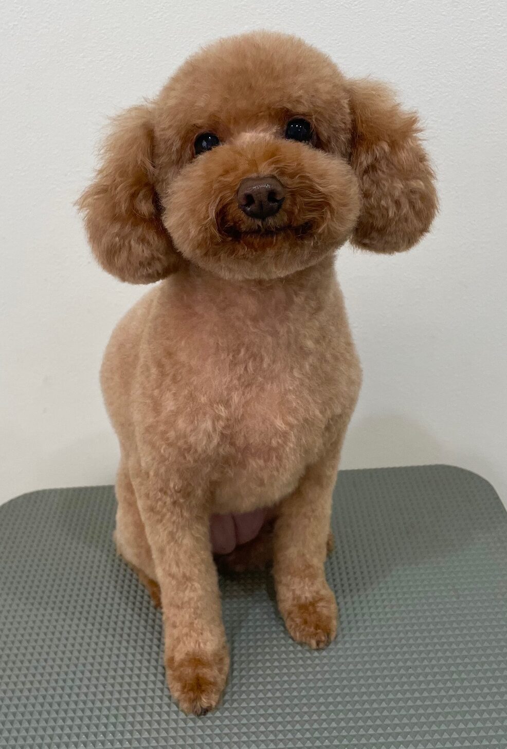 2025-10-10-%e6%b5%b7%e5%a0%80%e3%81%8f%e3%81%85%e3%83%bc