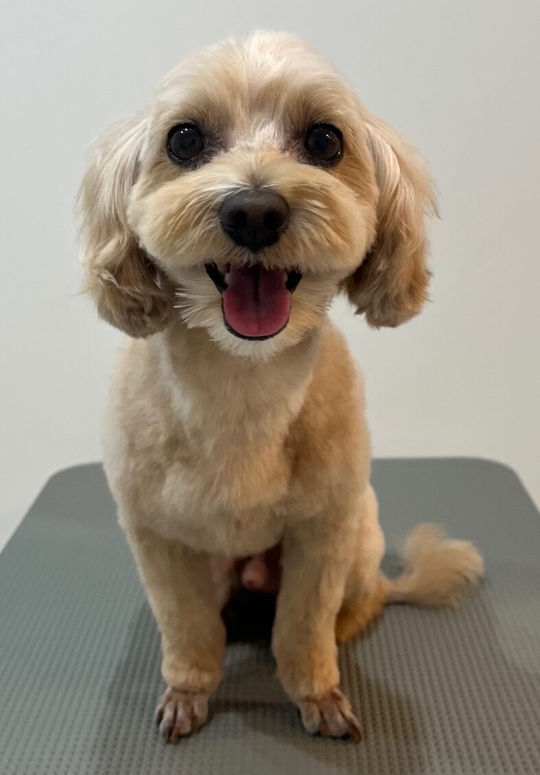 2025-10-10-%e7%9f%b3%e4%ba%95%e3%83%9e%e3%83%ad%e3%83%b3