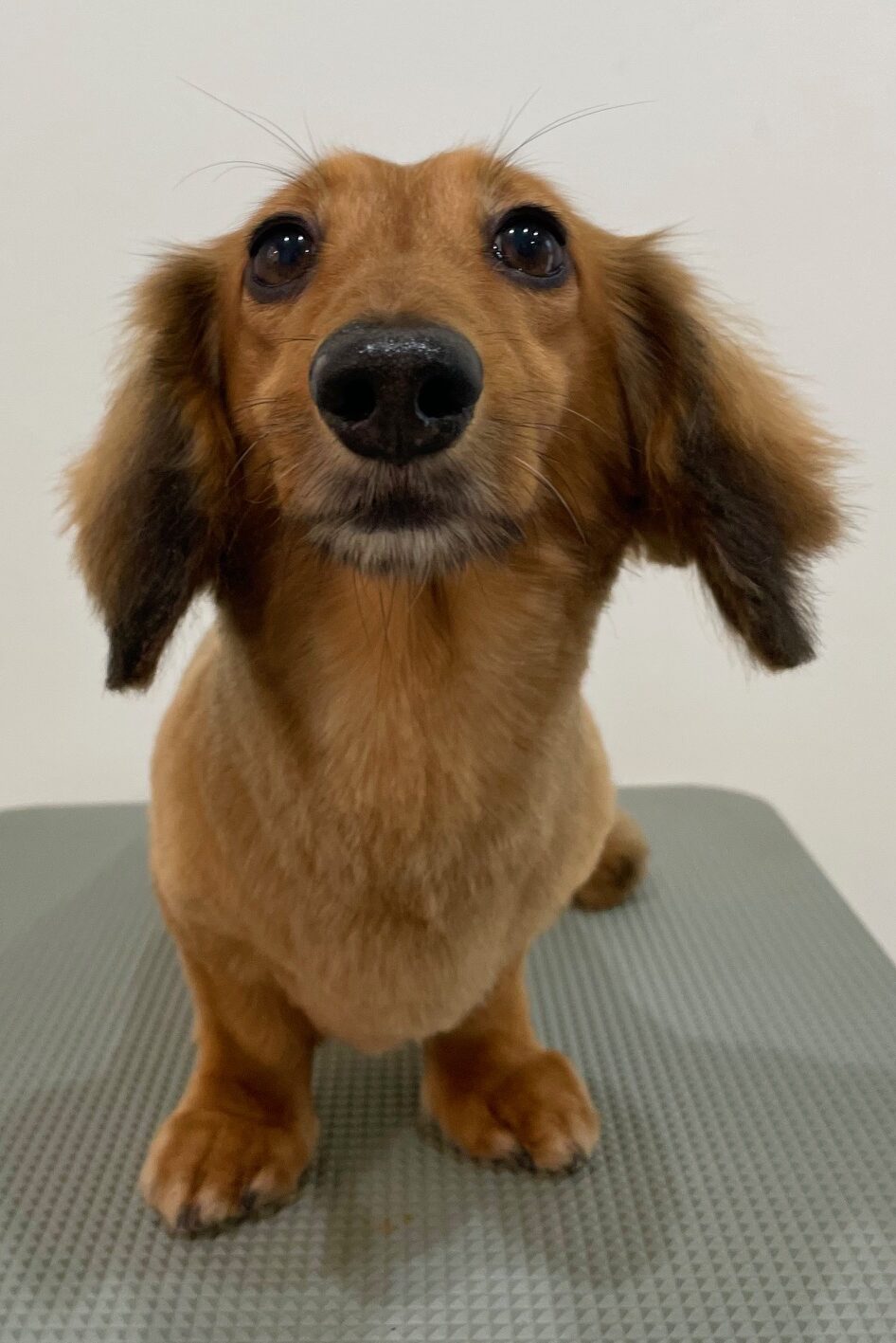 2025-10-12-%e7%94%b0%e9%82%89%e3%82%b3%e3%83%ad