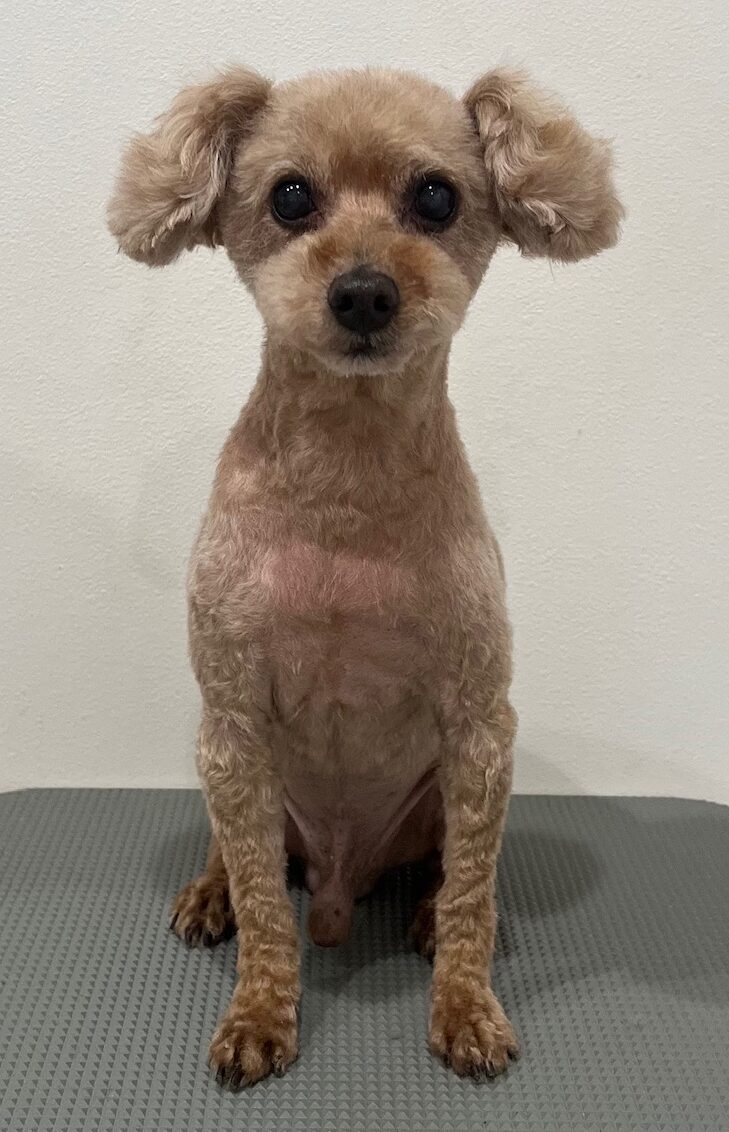 2025-10-14-%e8%8d%bb%e9%87%8e%e3%83%a2%e3%82%ab