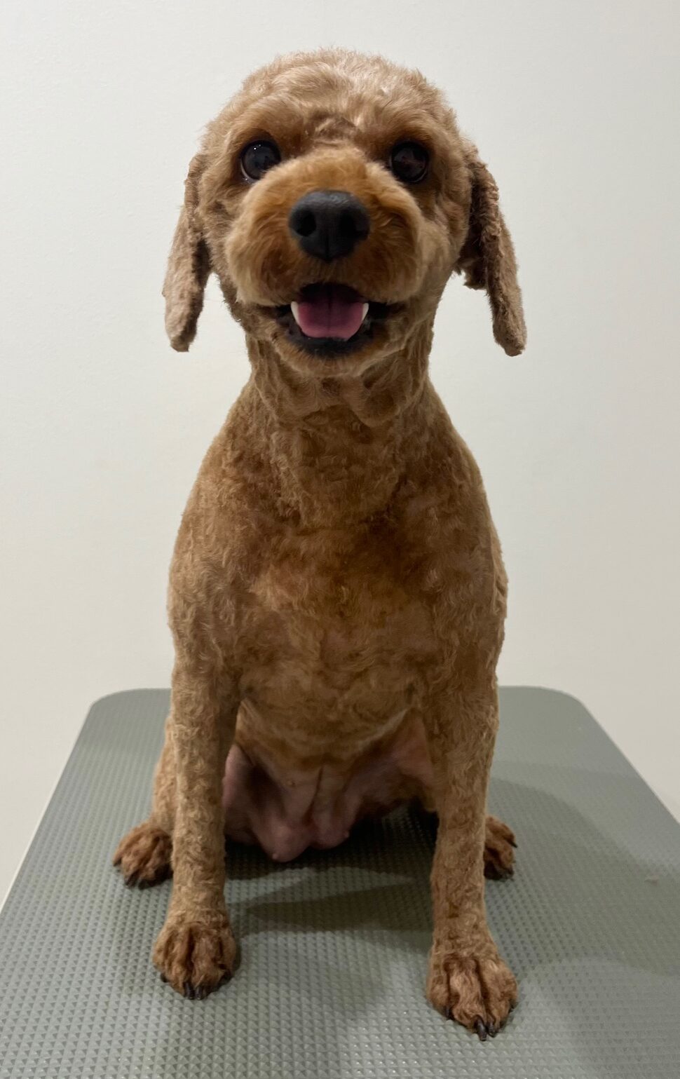 2025-10-14-%e8%ab%b8%e6%98%9f%e5%b0%8f%e9%9b%aa