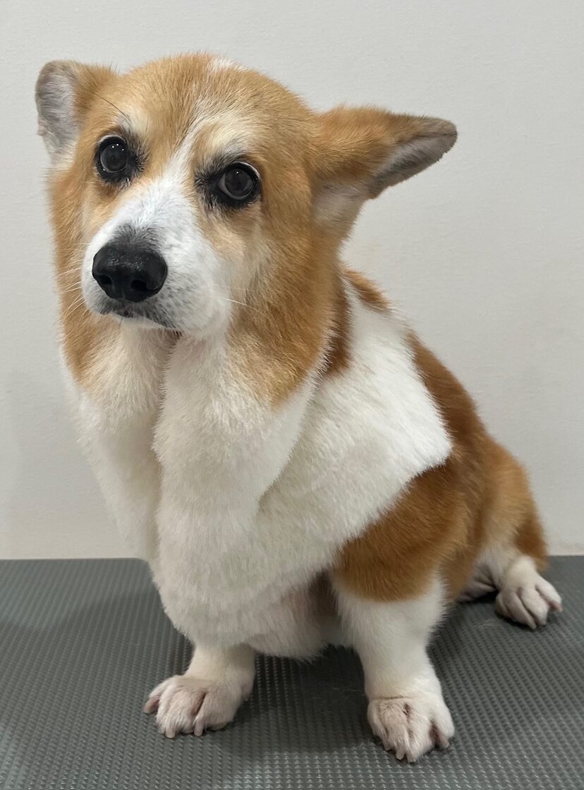 2025-10-14-%e9%88%b4%e6%9c%a8%e3%81%98%e3%82%85%e3%82%93%e3%81%ba%e3%81%84