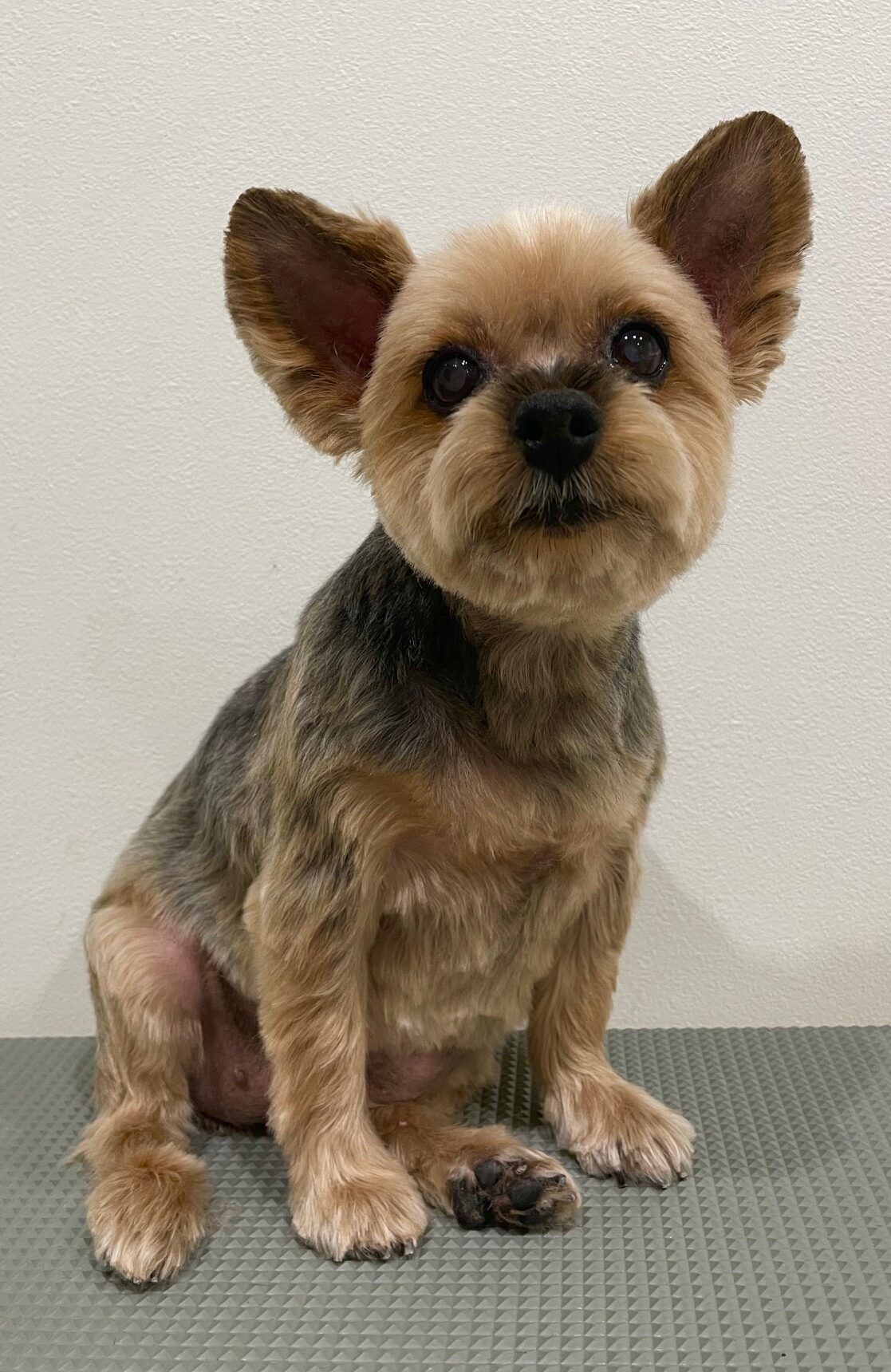 2025-10-15-%e9%96%a2%e9%87%8e%e3%83%8e%e3%82%a2