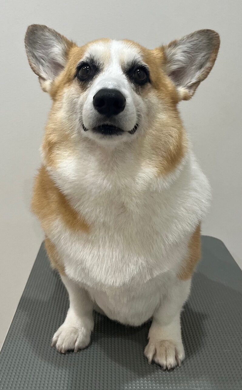 2025-10-17-%e5%a5%a5%e6%b4%a5%e3%81%8f%e3%81%85