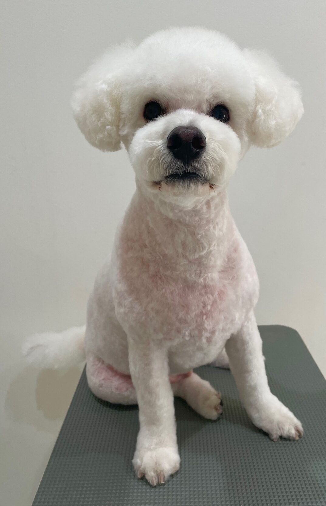 2025-10-17-%e5%b0%8f%e6%a9%8b%e6%b5%b7