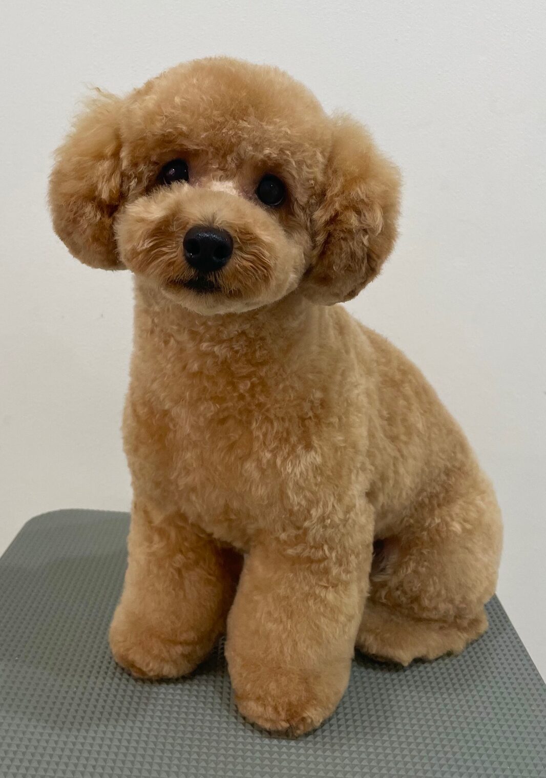 2025-10-17-%e6%b0%b8%e7%94%b0%e3%81%86%e3%82%86