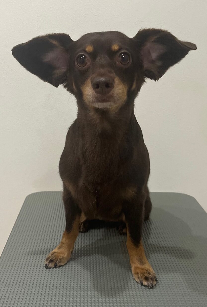 2025-10-19-%e5%b0%8f%e6%9d%be%e3%81%9d%e3%82%89