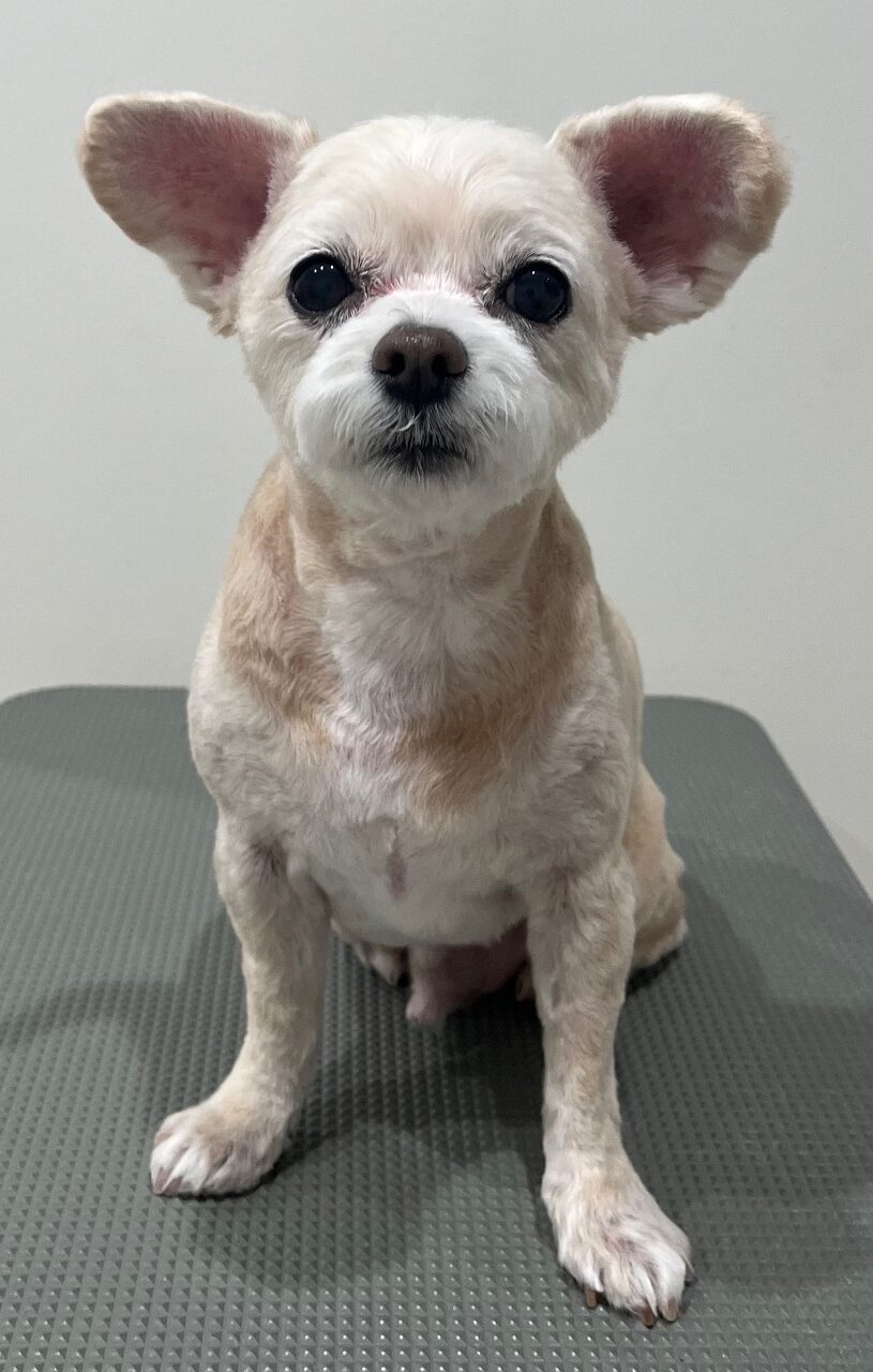 2025-10-19-%e8%88%b9%e6%9c%a8%e3%81%b5%e3%81%86%e3%81%9f