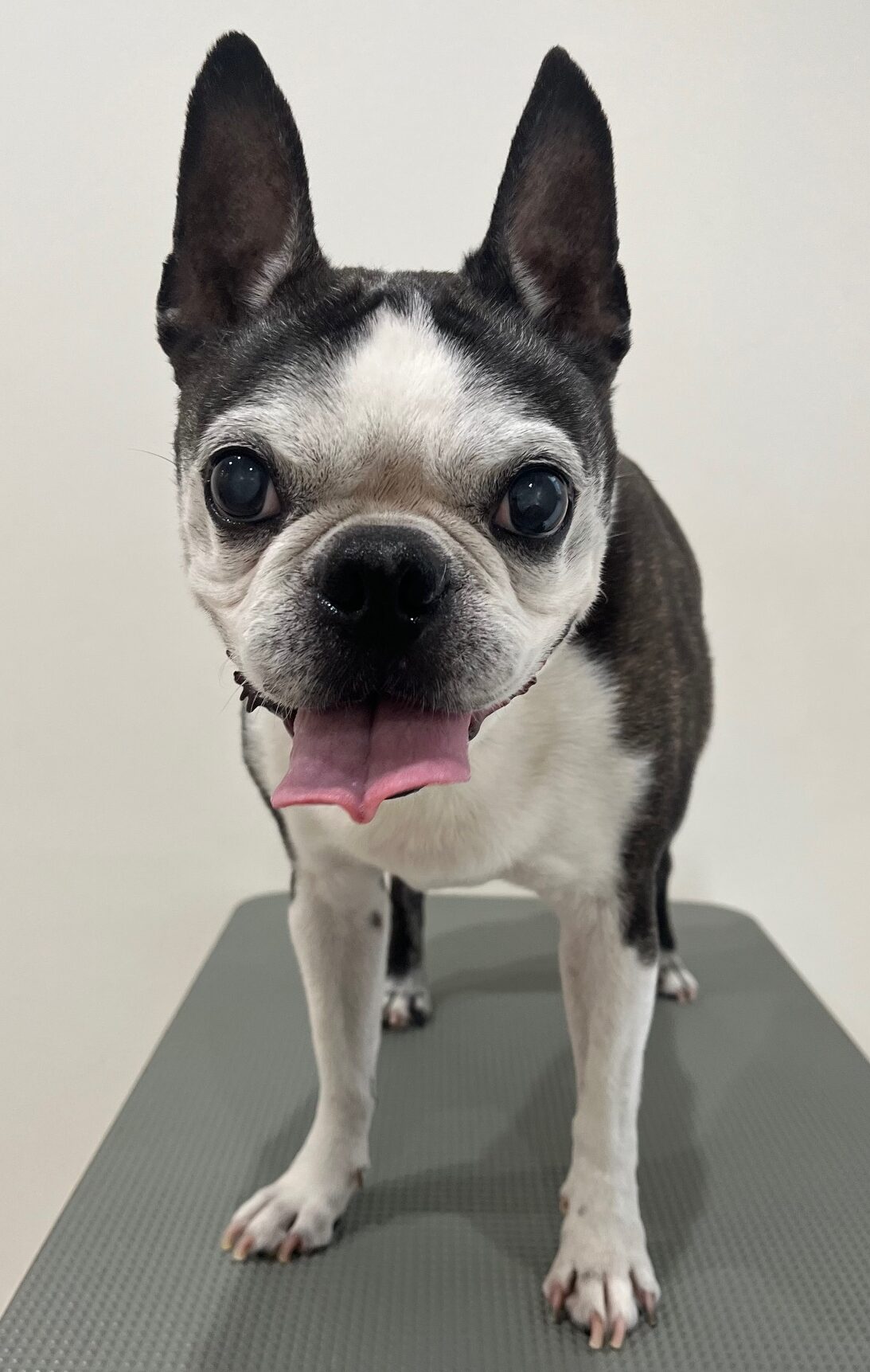 2025-10-19-%e8%b1%8a%e5%b7%bb%e3%83%ab%e3%83%bc%e3%82%af