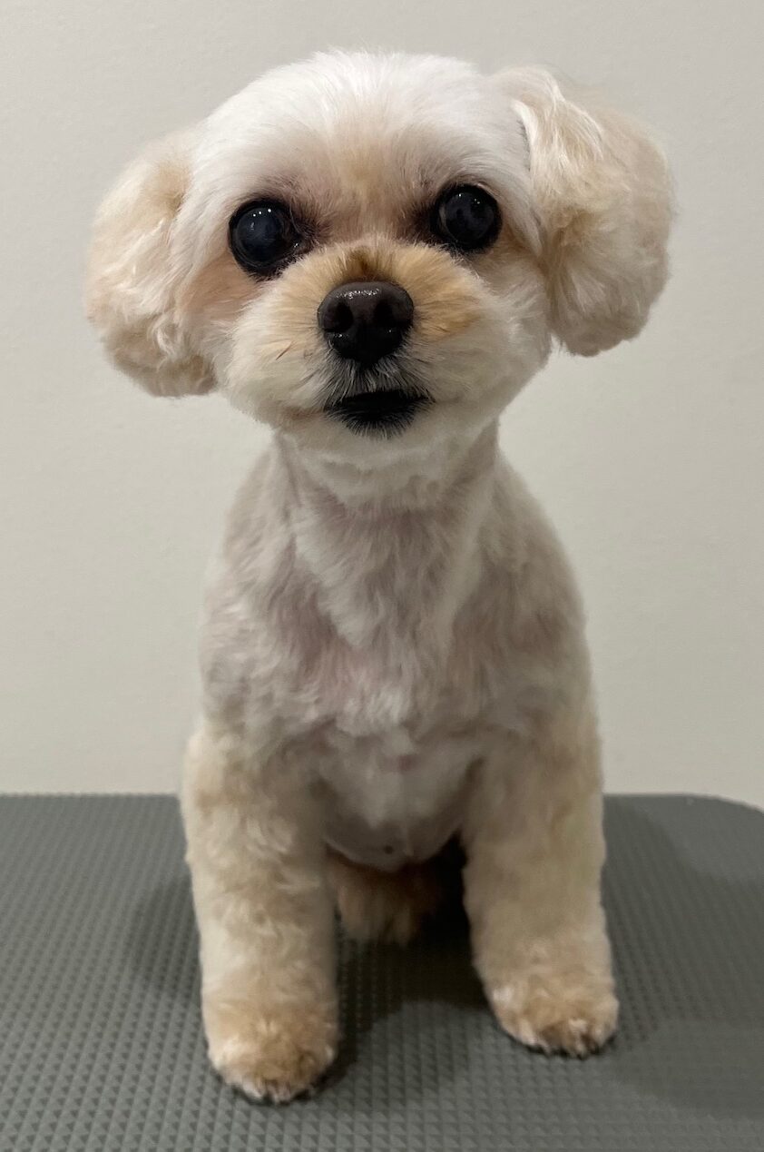 2025-10-20-%e6%b8%a1%e9%83%a8%e3%83%9e%e3%83%ad%e3%83%b3