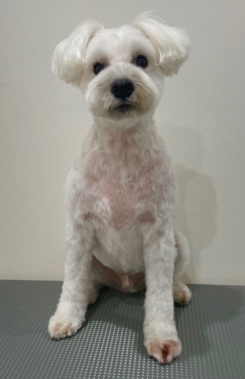 2025-10-20-%e9%87%8e%e5%8e%9f%e3%83%86%e3%82%aa