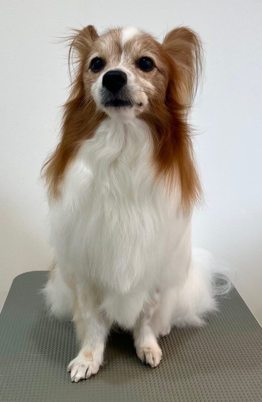 2025-10-21-%e5%af%8c%e7%94%b0%e3%83%86%e3%82%aa