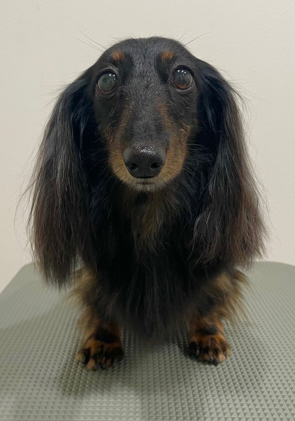 2025-10-21-%e5%af%ba%e7%94%b0%e3%81%8a%e3%82%88