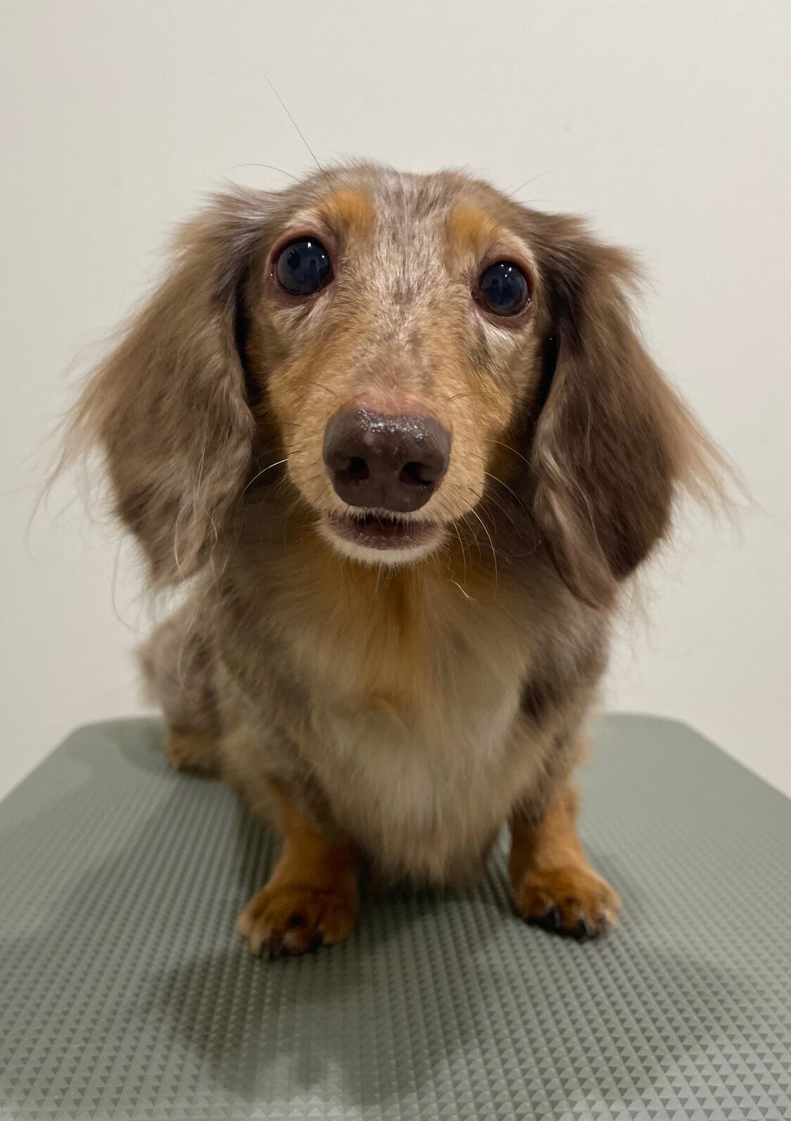 2025-10-21-%e5%af%ba%e7%94%b0%e3%81%be%e3%82%8d