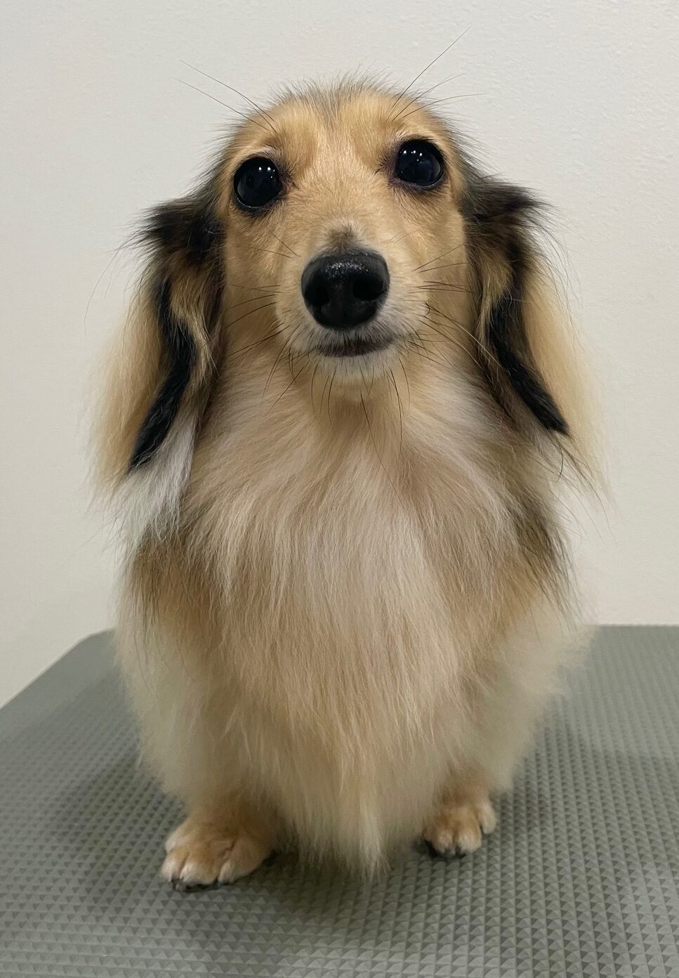 2025-10-21-%e5%af%ba%e7%94%b0%e3%82%82%e3%82%8b