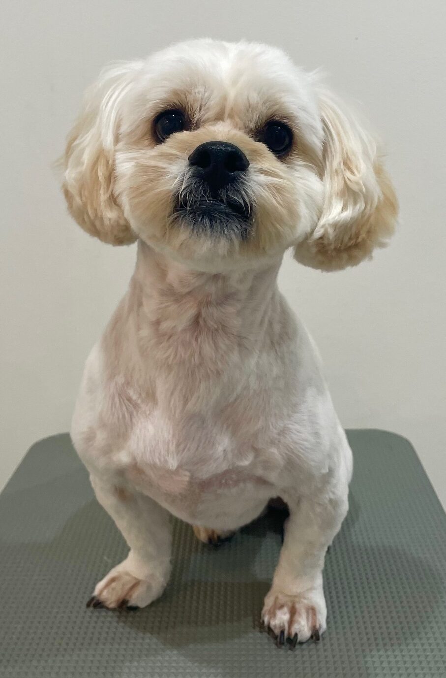 2025-10-21-%e5%b0%8f%e9%96%a2%e6%9d%be%e7%ab%b9