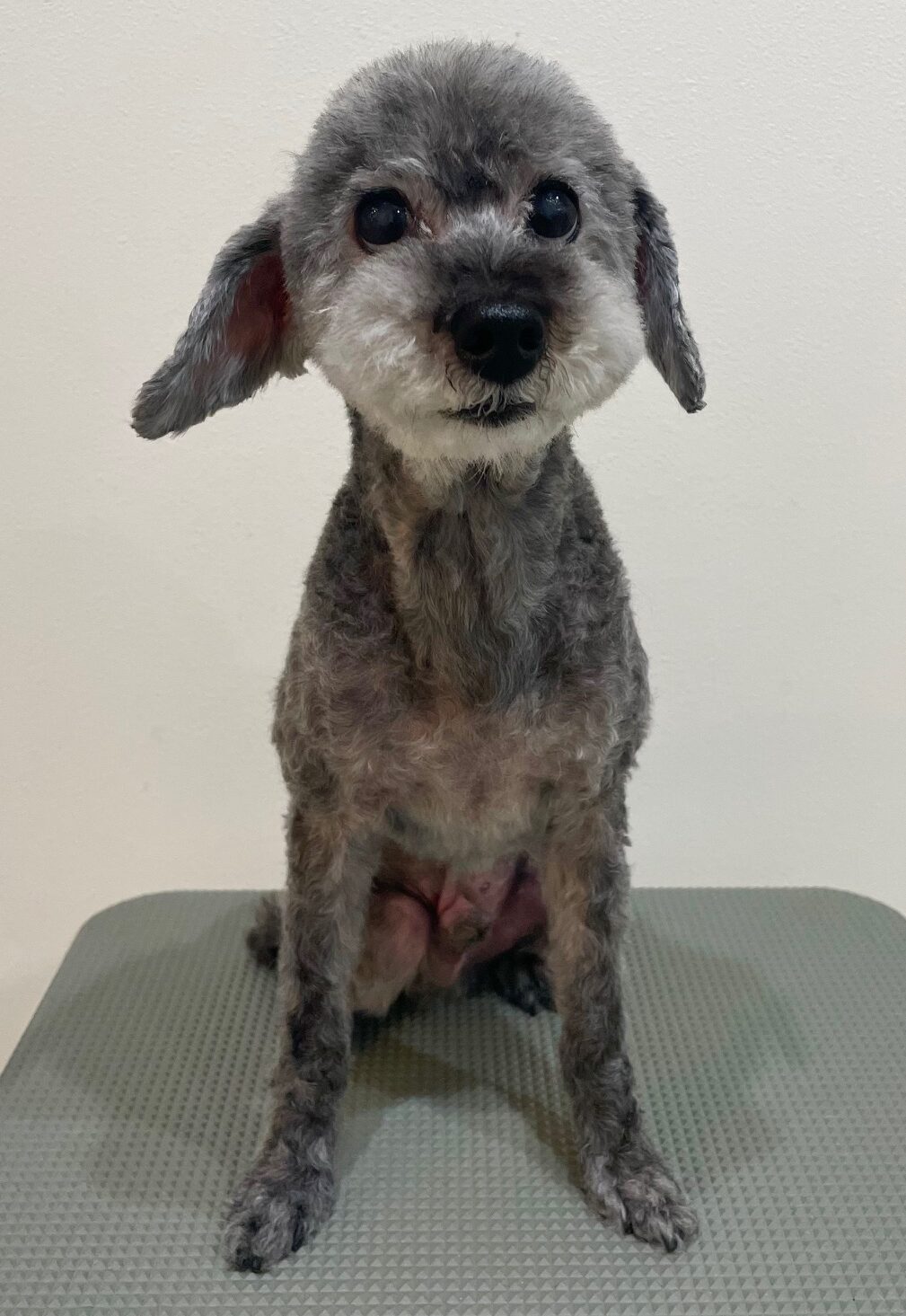 2025-10-21-%e6%b5%85%e4%ba%95%e3%82%a2%e3%83%bc%e3%82%b9