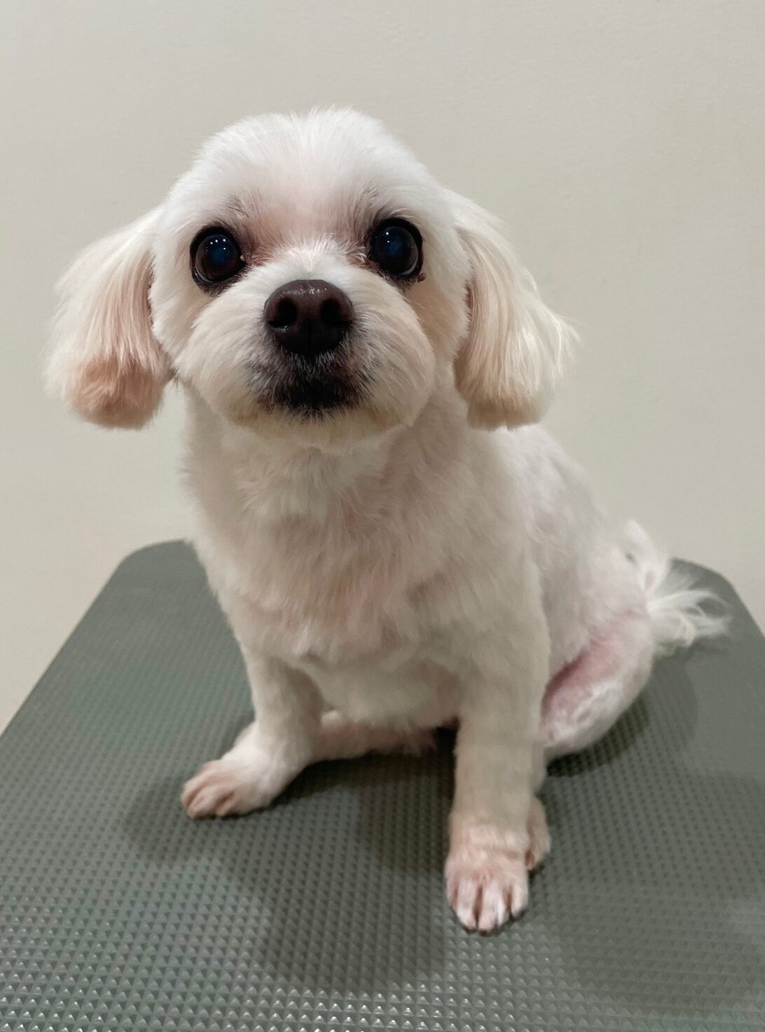 2025-10-21-%e7%95%a0%e5%85%83%e8%98%ad