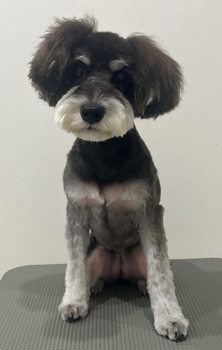 2025-10-22-%e6%9d%89%ef%a8%91%e3%82%a6%e3%82%bf