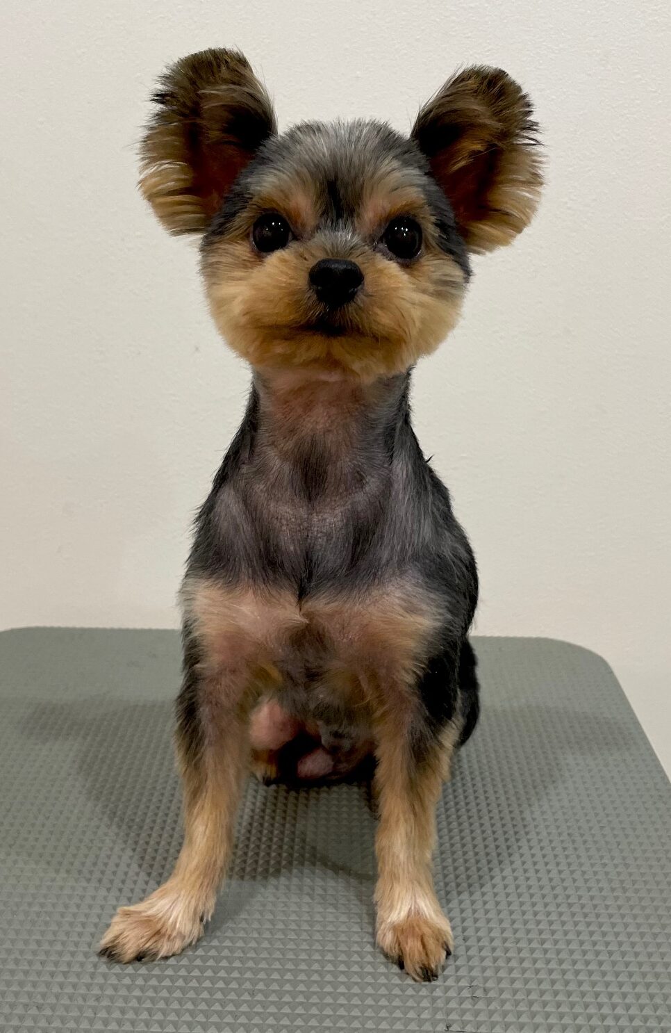 2025-10-22-%e6%9d%be%e6%b5%a6%e3%82%82%e3%81%93