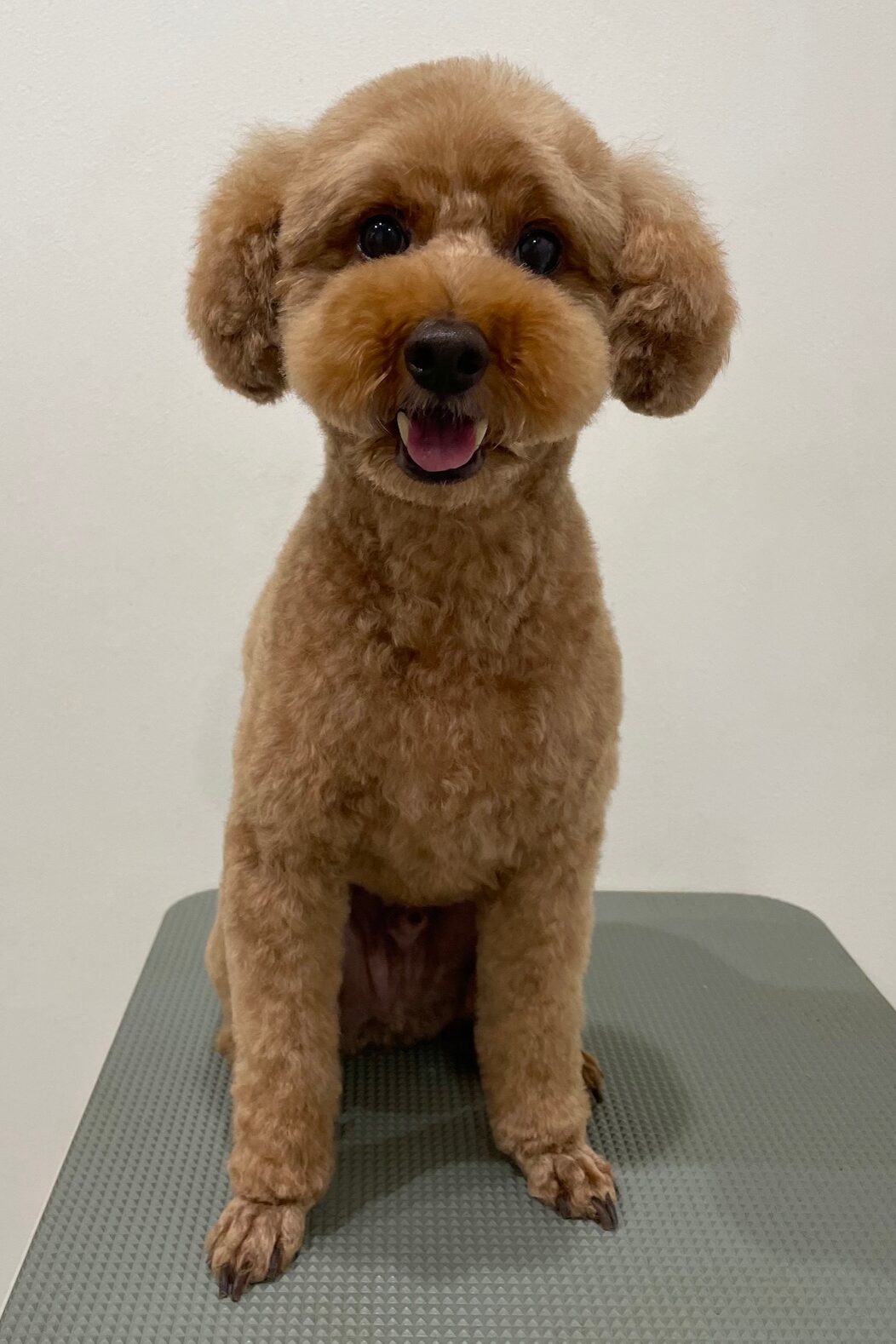 2025-10-22-%e6%b8%a1%e9%82%89%e3%81%ad%e3%82%8b