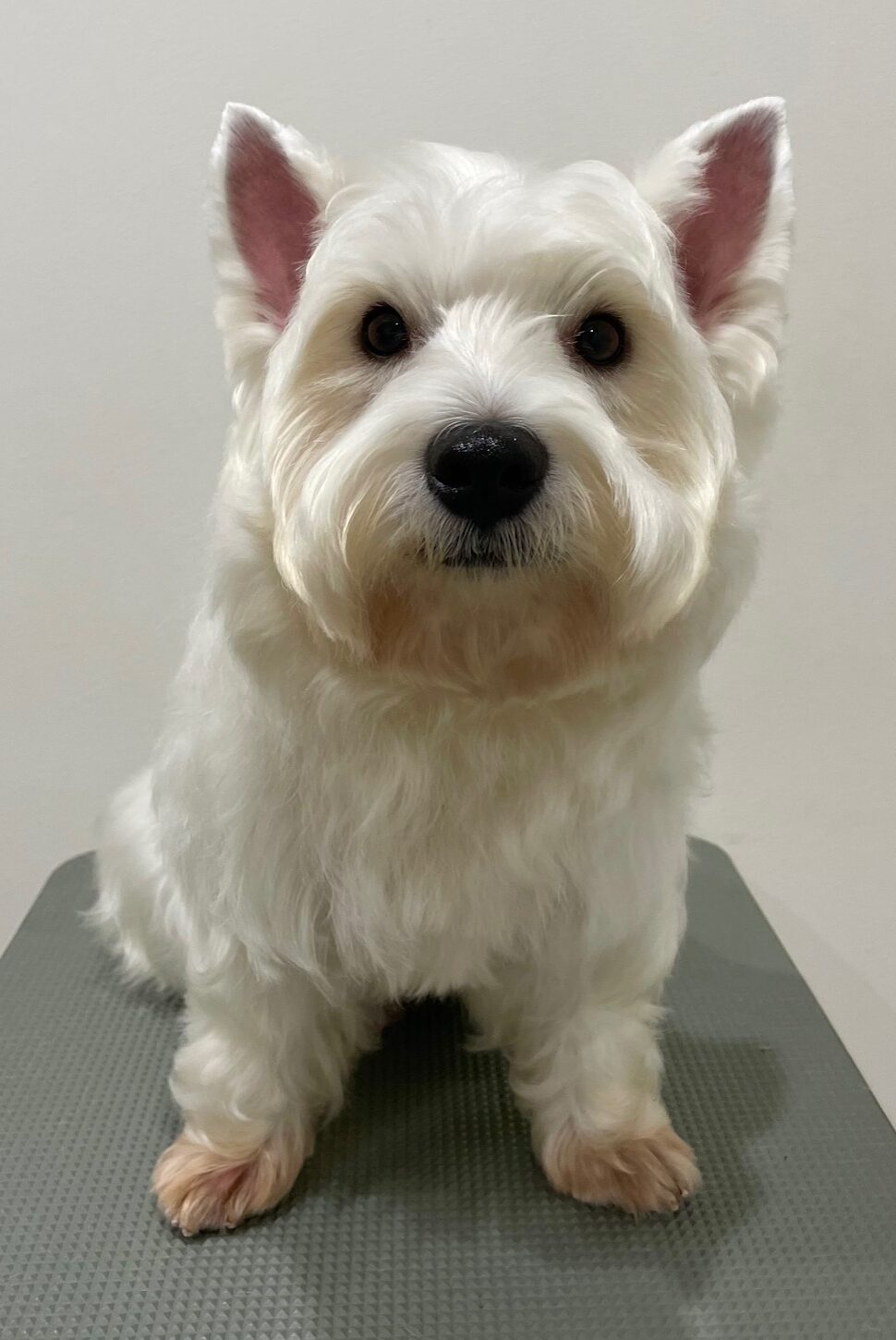 2025-10-22-%e8%b6%b3%e7%ab%8b%e3%83%a2%e3%82%a2