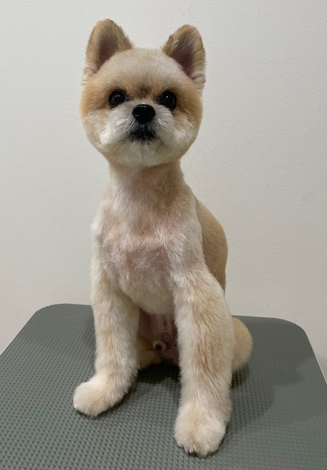 2025-10-24-%e4%b8%ad%e6%b4%a5%e5%b7%9d%e3%83%ac%e3%82%aa