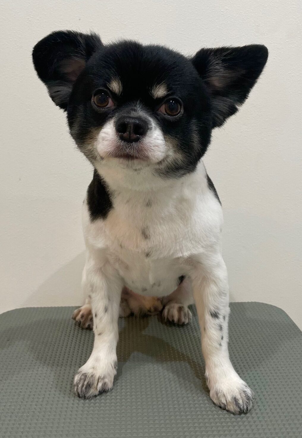 2025-10-24-%e7%80%a7%e5%b4%8ecoco