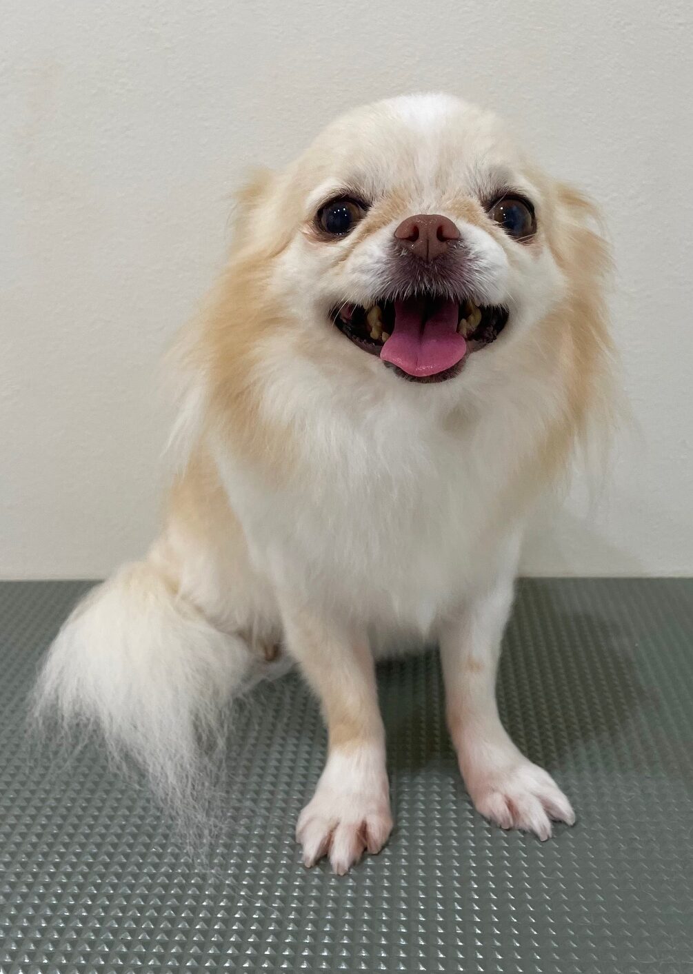 2025-10-24-%e8%8f%85%e5%8e%9f%e3%81%95%e3%81%8f%e3%82%89