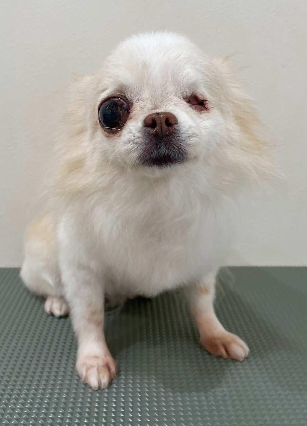 2025-10-24-%e8%8f%85%e5%8e%9f%e3%83%81%e3%83%a3%e3%82%a4