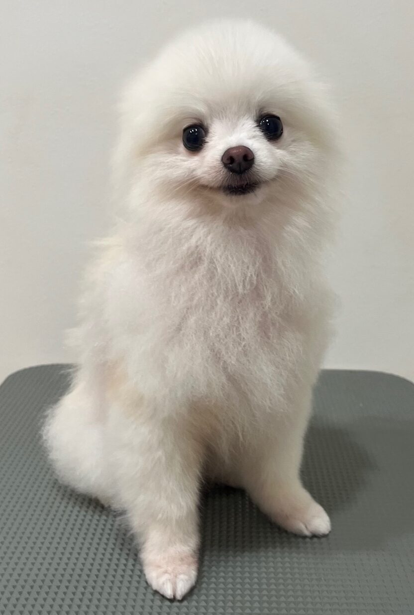 2025-10-26-%e6%a9%8b%e6%9c%ac%e7%be%bd%e7%a9%ba