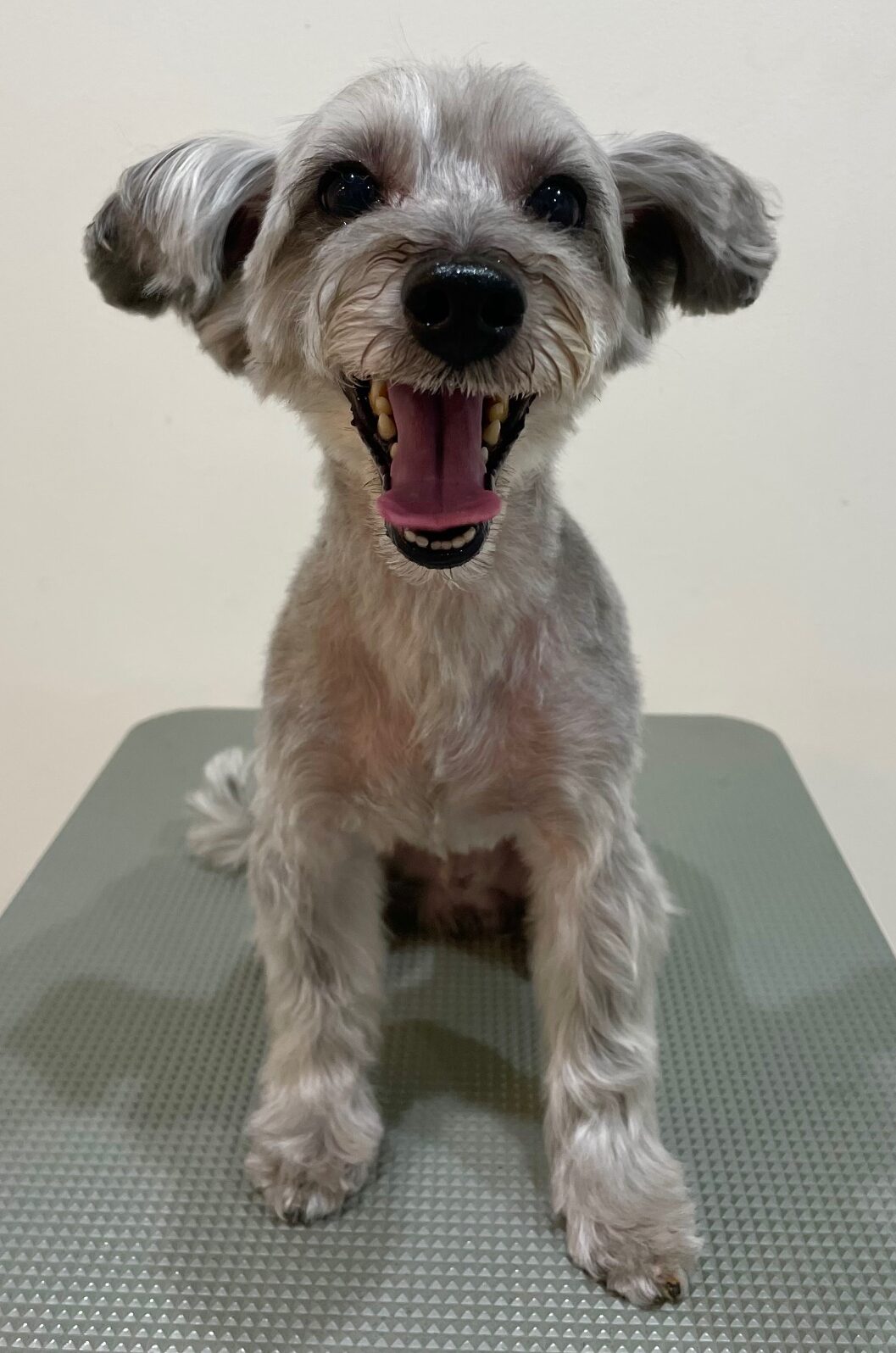 2025-10-26-%e9%ab%99%e6%a9%8b%e3%82%af%e3%83%bc