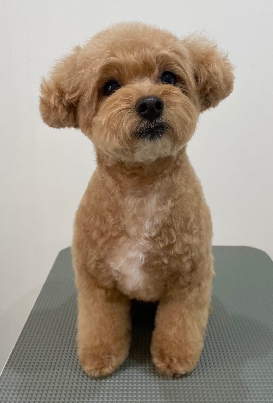 2025-10-27-%e7%89%87%e5%b2%a1%e3%82%86%e3%81%9a