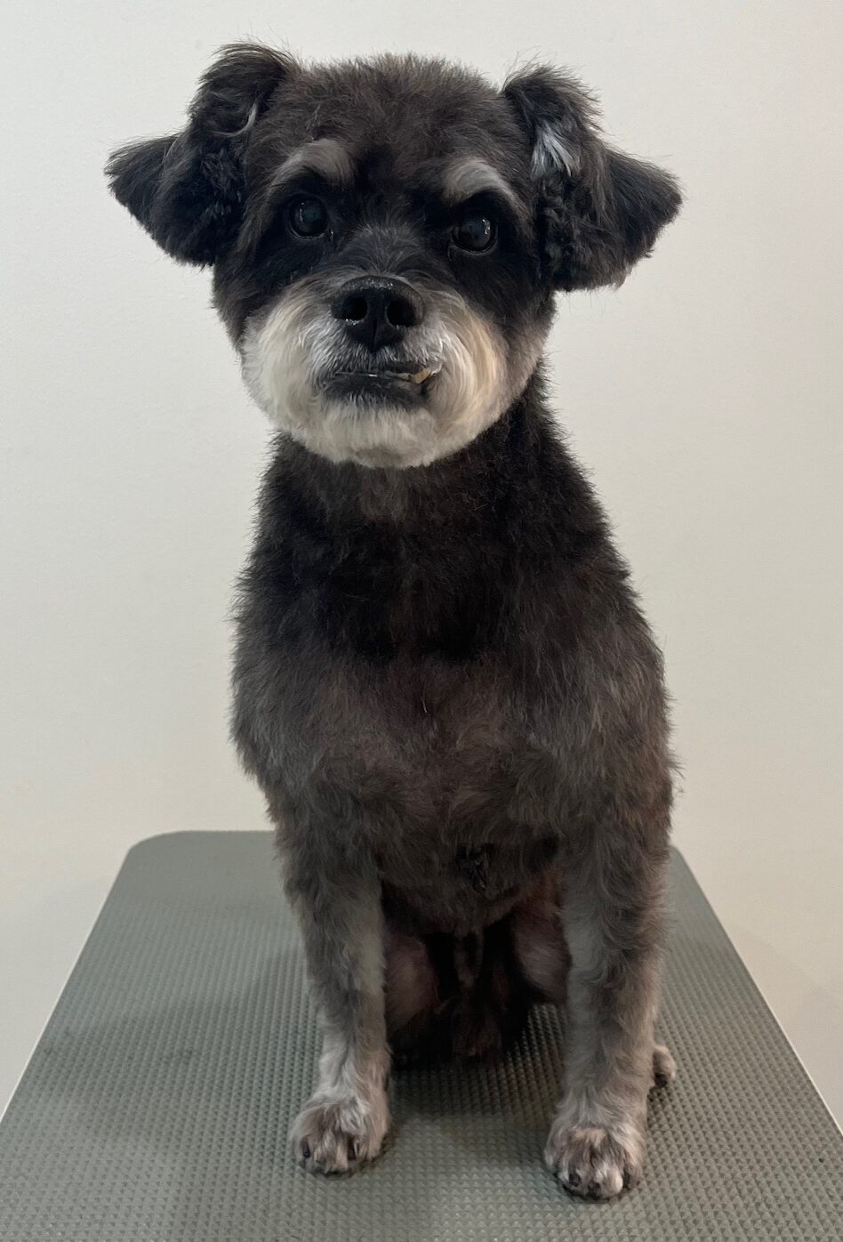 2025-10-28-%e4%bd%90%e5%ae%97%e3%81%8f%e3%82%8d%e3%81%be%e3%82%8d