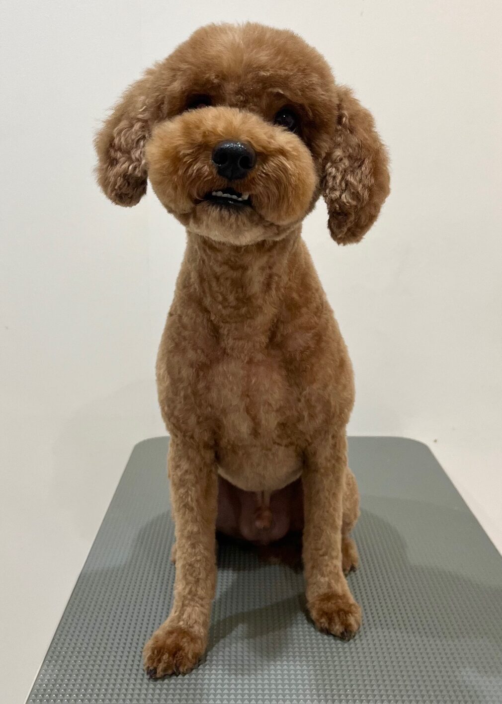 2025-10-28-%e6%9d%be%e5%b4%8e%e3%83%81%e3%83%a7%e3%82%b3