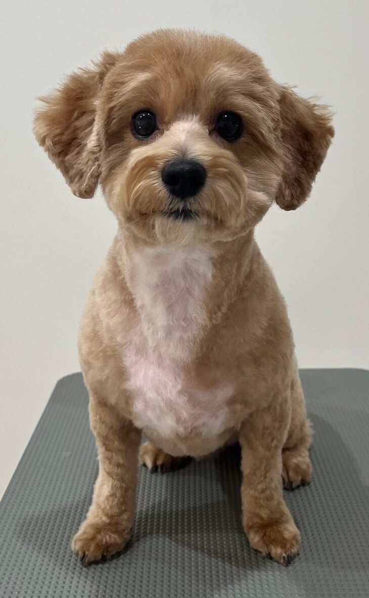 2025-10-28-%e6%9d%be%e5%b4%8e%e3%83%a2%e3%83%8a%e3%82%ab