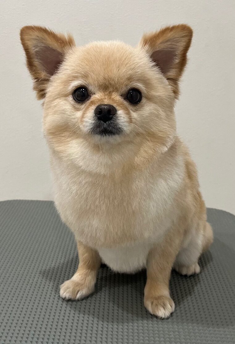 2025-10-28-%e8%8a%a6%e7%94%b0%e3%83%a2%e3%82%b3