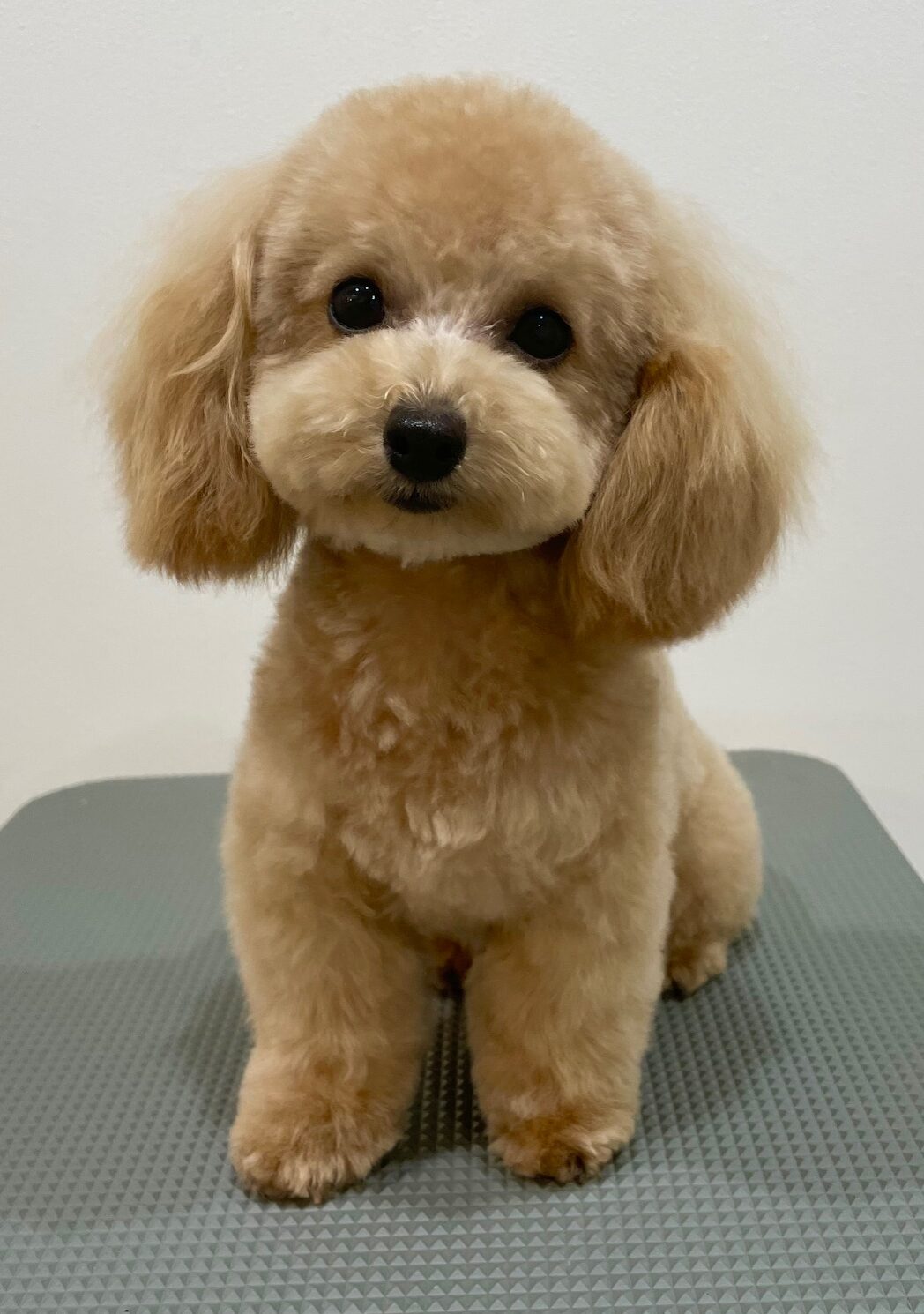 2025-10-28-%e9%88%b4%e6%9c%a8%e3%81%95%e3%81%8f%e3%82%89